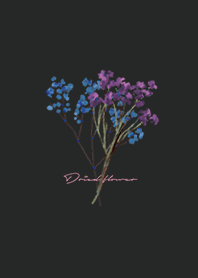 ブラック ピンク : Dried Flower