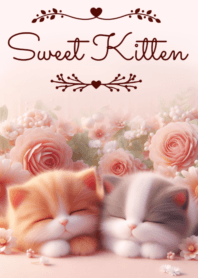 Sweet Kitten No.258