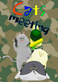 cats meeting