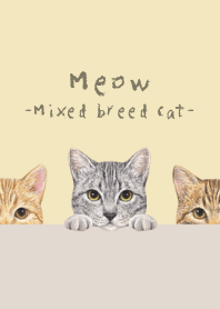 Meow - Mixed breed cat 03 - CREAM YELLOW