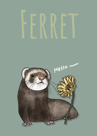 ferrets' theme / dusty green