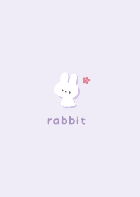 Rabbits5 Cherry blossoms [Purple]