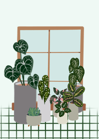 House plants.