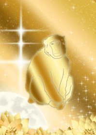 生肖猴-金-