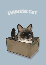 siamesecat1 / light steel blue