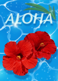 ALOHA〜海に浮かんだハイビスカス