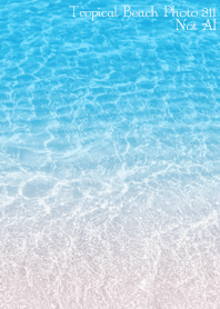 Tropical Beach Photo 311 Not AI