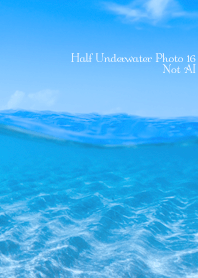 Half Underwater Photo 16 Not AI