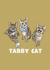 tabbycat2 - ginger