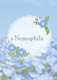 大人かわいい♡ネモフィラ