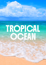 TROPICAL OCEAN THEME 20
