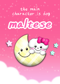 sky3 maltese dog theme pink