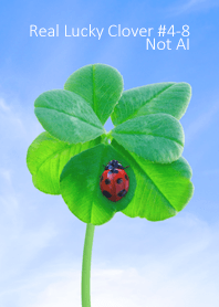 Real Lucky Clover #4-8Not AI