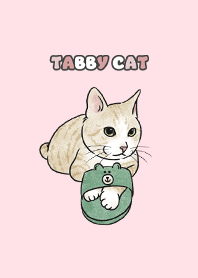 creamtabby1 / pink