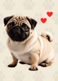 Fawn Pug Theme. Beige 03