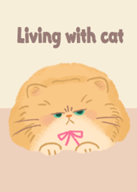 猫のいる暮らし（ペルシャ猫）