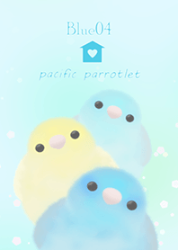 pacific parrotlet/Blue 04