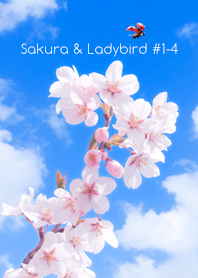 Sakura & Ladybird #1-4