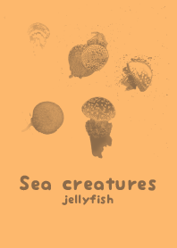 Sea crt SunORN