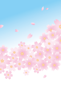 桜の花、咲き誇る