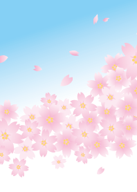 flowers in full bloom