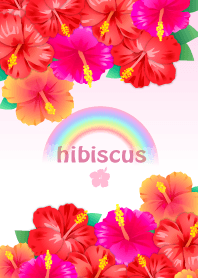 summer pop hibiscus