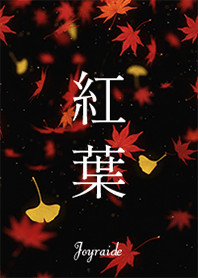 Beautiful autumn leaves1