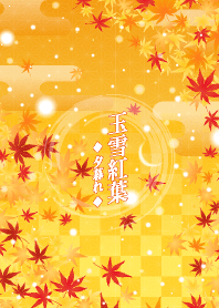 Japanese maple & snow -sunset-