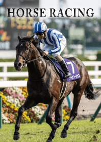 Theme of Horse Racing9