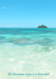 Hawaiian ocean is so beautiful -MEKYM 31