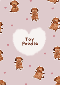 cute love toy poodle15.