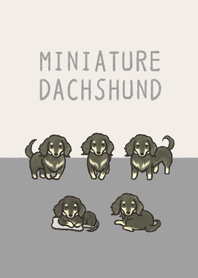 ゆるっとブラックイエローダックスさん