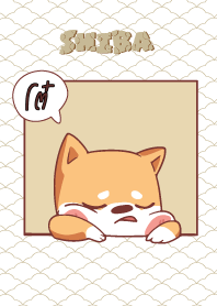 โต๋ ใครไม่บะ ชิบะ 4 V12