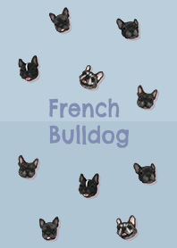 French Bulldog brindle / blue