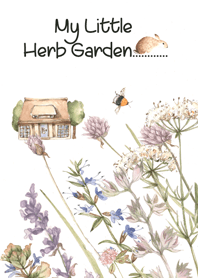 my little herb garden