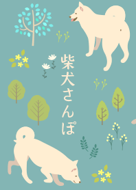 柴犬さんぽ（白柴）