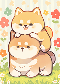 ⭐️柴犬的快樂時光❤️1-1