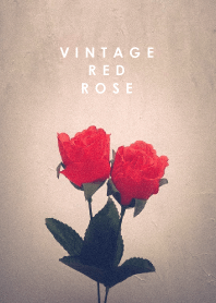 Vintage Red rose_1