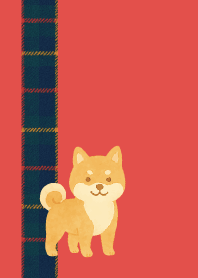 red きりっとした柴犬01