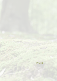 苔のきせかえ2