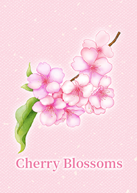 Beautiful Cherry Blossoms 1 / Pink / EN
