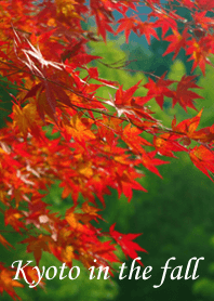 Kyoto in the fall
