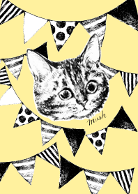 空を見上げる猫 キジトラ