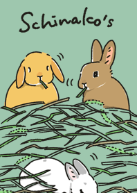 Schinako's loving bunnies theme