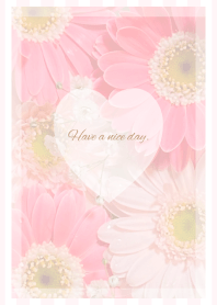 Pink Gerbera Bouquet Theme  -2024- 1