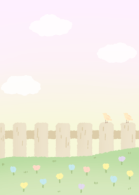 morning lovely field