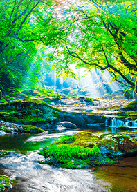 Woodland Green from Japan