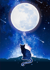 運気が上がる✨満月とネコ