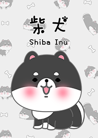 misty cat-Shiba Inu black