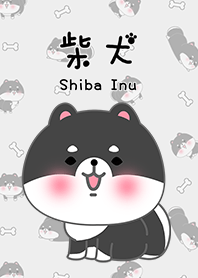 ชิบะอินุ ทารก น่ารัก สีดำ